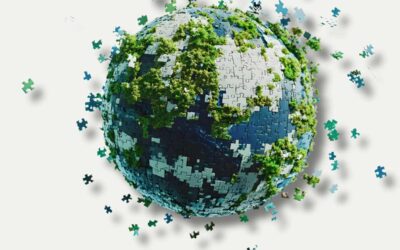 L’entreprise durable ? Celle qui apprend à se renouveler… sans se renier.