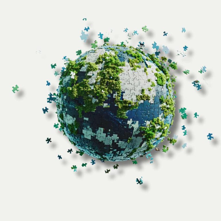 L’entreprise durable ? Celle qui apprend à se renouveler… sans se renier.